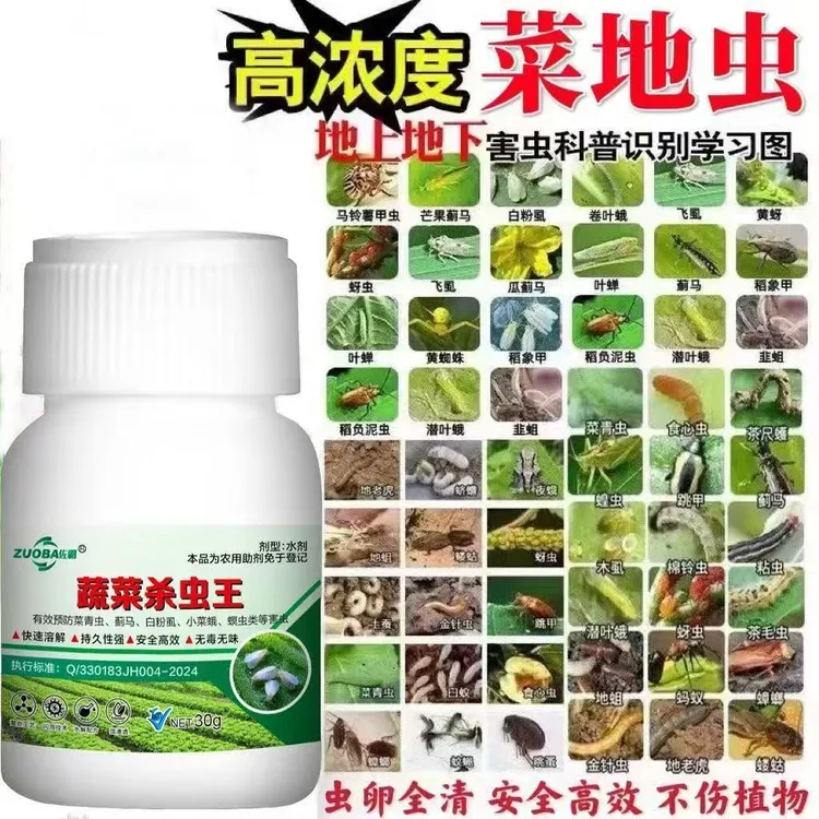白菜果蔬杏树强效杀介壳虫蚜虫菜青虫食心虫钻心虫助剂