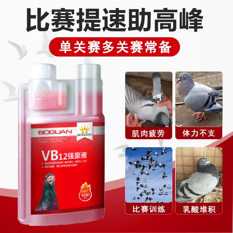 搏冠VB12强豪液500ml赛鸽单关赛多关赛比赛提速赛后恢复比赛用品