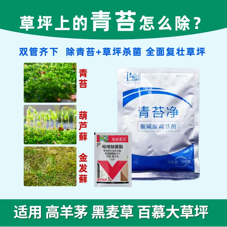 草坪除青苔药草坪隆青苔净防除青苔苗木草坪各类苔藓藻类草坪杀菌