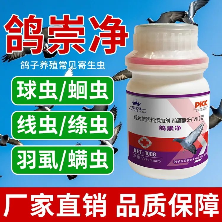 【牧之强-鸽崇净】鸽子蛔虫毛滴虫羽虱跳蚤肉鸽健康饮水