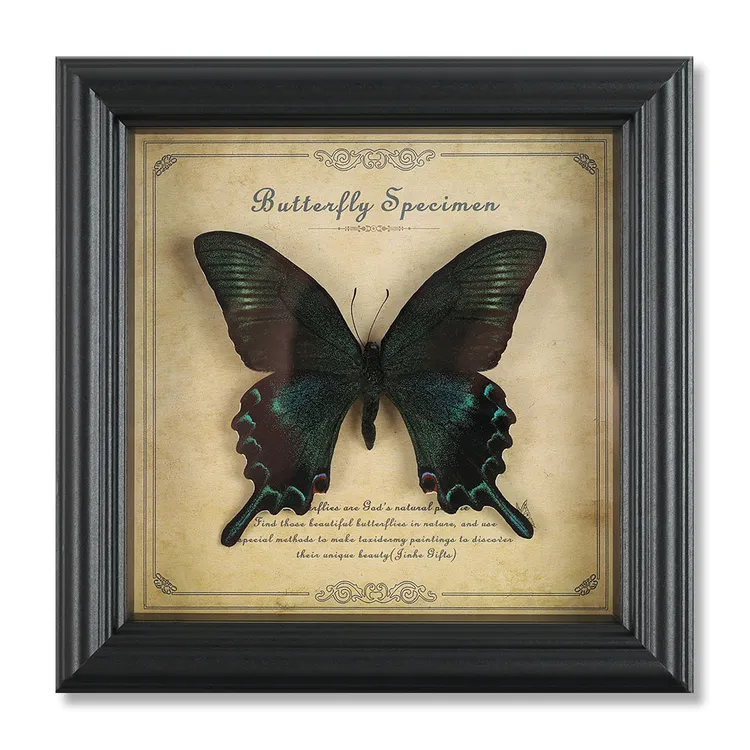 手工真蝴蝶标本木质相框创意礼物摆件学生鉴赏送男友创意欧式