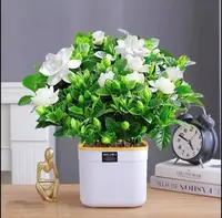 【带花苞】230栀子花浓香整盆栽花卉植物室内水培桌面绿植四季好养