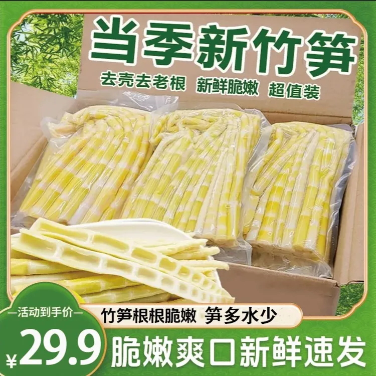 江西竹笋新鲜嫩笋尖春笋脆笋鲜竹笋罗汉笋子方竹笋火锅笋笋尖凉拌
