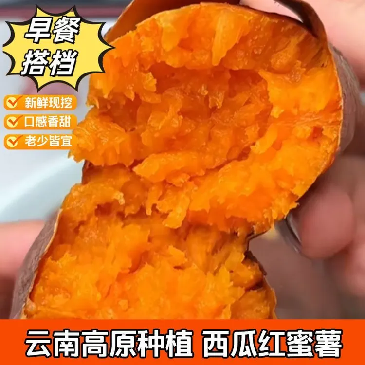 云南红薯新鲜地瓜红薯现挖番薯沙地蜜薯西瓜红超级好吃特大果包邮