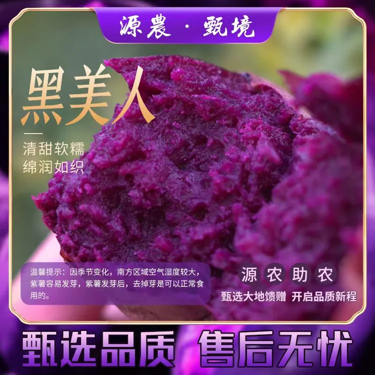【源农甄境】精品果云南糖心紫薯黑美人软糯香甜粗粮老少皆宜蒸煮烤