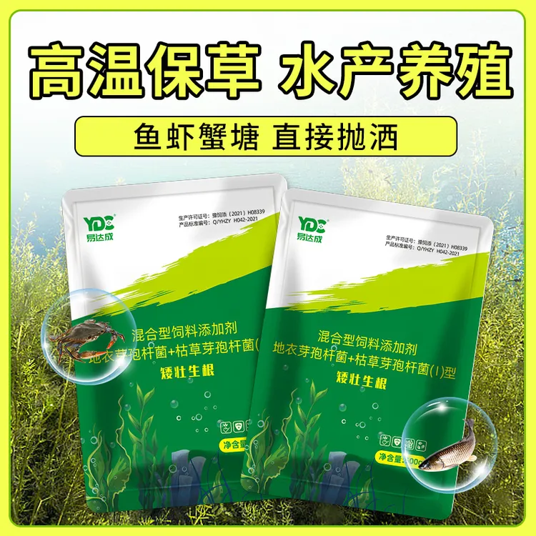 【水草生根促长】矮壮生根长白根发棵轮叶黑藻伊乐藻高温保草防飘草商品图