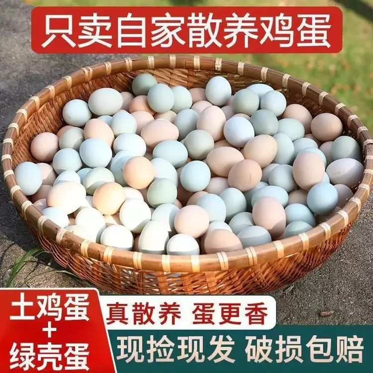 【京东发货】正宗农家散养土鸡蛋45-50克与绿壳蛋混合装新鲜营养蛋