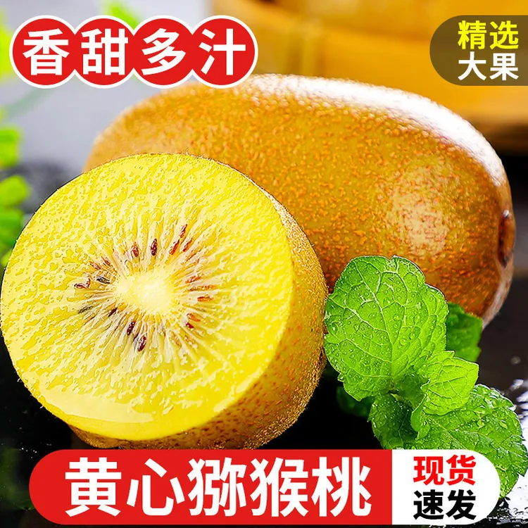 【到手30个】南阳黄心猕猴桃金艳猕猴桃应季水果
