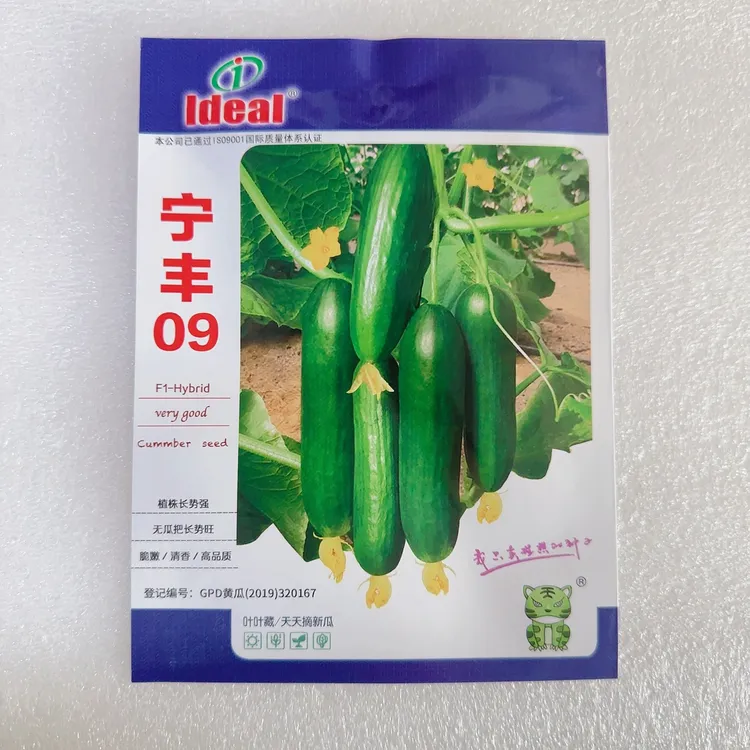 理想宁丰09水果黄瓜种子 100粒/袋