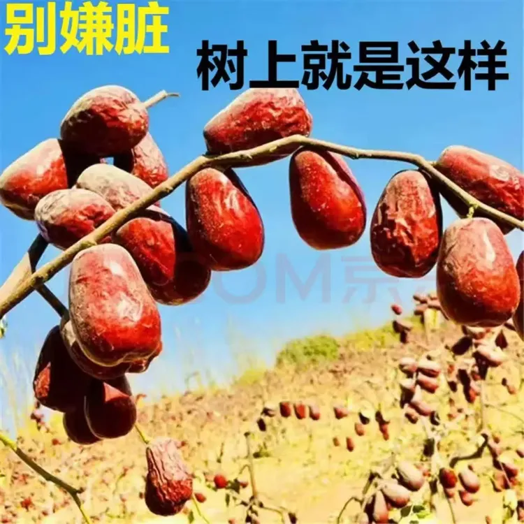 2025年 原生态新疆和田大枣2-3级混装自然吊干带土带沙