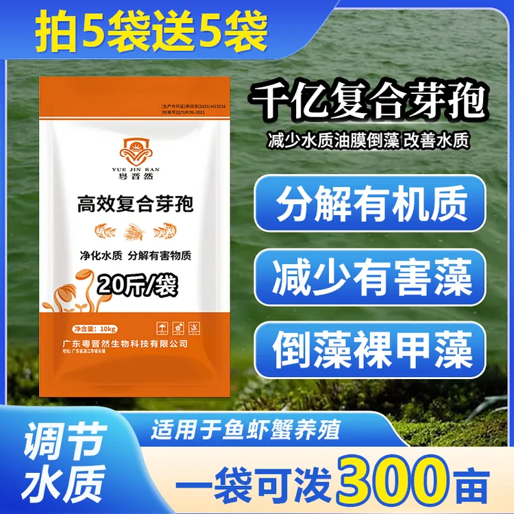 粤晋然千亿复合芽孢杆菌水产养殖专用枯草调净水氨氮亚盐厂家直销