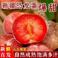 【新疆恐龙蛋】味帝李子酸甜多汁当季新鲜水果包邮现发