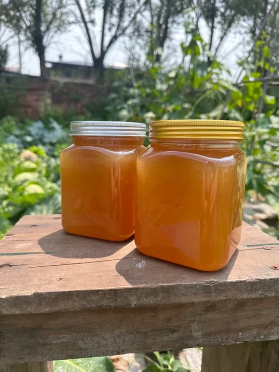 伊春林区新蜜百花蜜土蜂蜜粉丝福利2斤起包邮