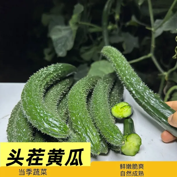 【现摘现发】农家绿心黄瓜0添加原生态3/5斤无公害蔬菜青瓜不沾药