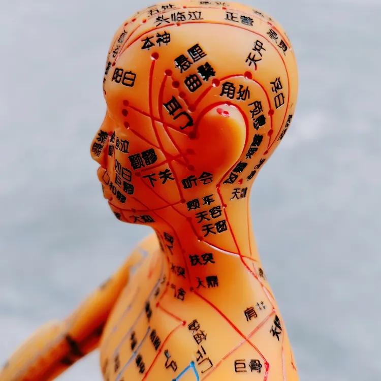 高清刻字人体经络穴位模型十二经络针灸教学全身男女铜小皮人