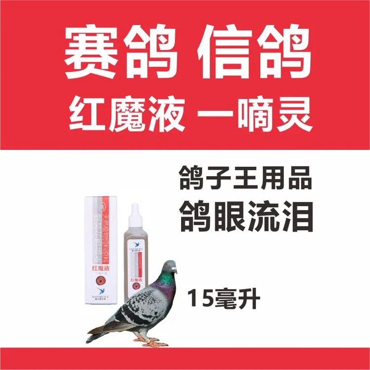 赛鸽红魔液一滴灵赛鸽信鸽鸽子赛鸽比赛
