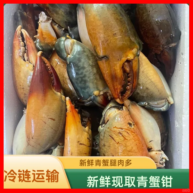 新鲜青蟹腿特大蟹钳鳌大肉多海鲜活蟹冷冻青蟹脚野生现掰蟹脚钳