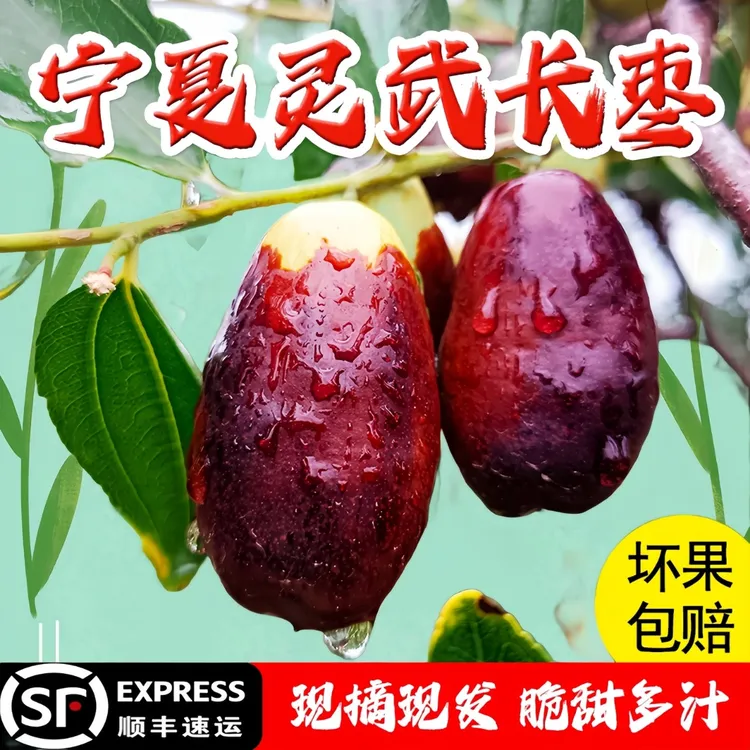 【顺丰包邮】宁夏灵武大枣长枣新鲜皮薄肉厚甜多汁沙漠大枣长枣