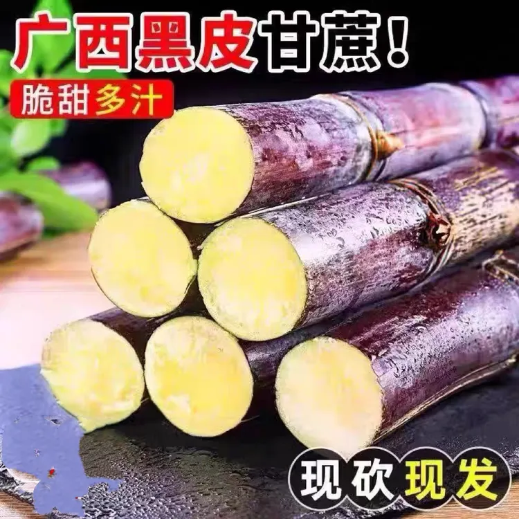 广西黑皮甘蔗新鲜现砍多汁当季水果可榨汁甘蔗新鲜广西甘蔗