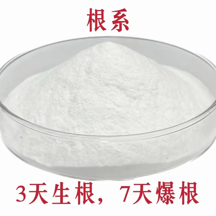 根系-生根专用，主生侧根毛细根，修复死根烂根