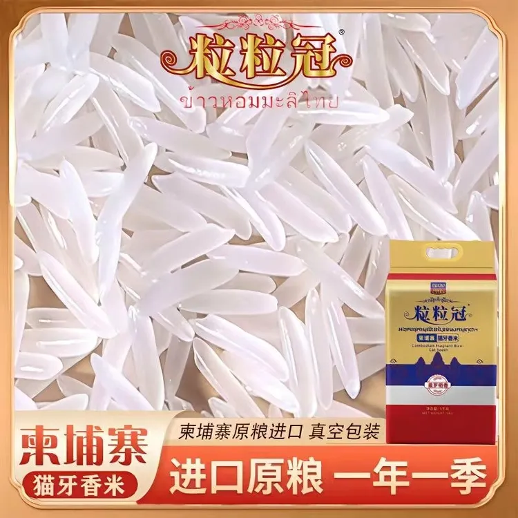 柬埔寨长粒猫牙大米香米原粮优质产地新鲜现磨真空包装5斤/10斤装