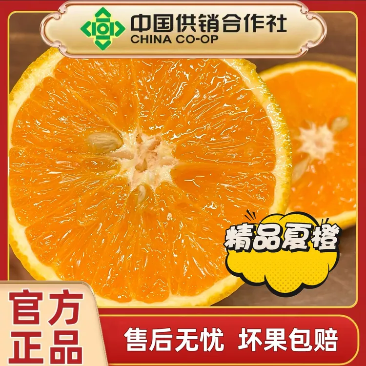 【供销社出品】湖北夏橙酸口5斤新鲜应季水果现摘现发时令水果头茬