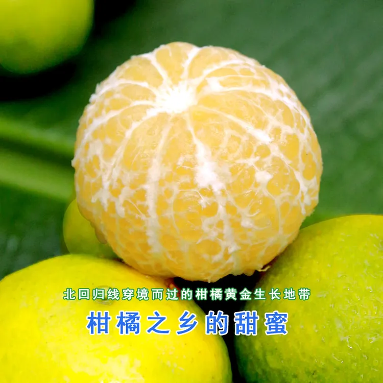 正宗广西皇帝柑当季新鲜孕妇水果香甜皮薄多汁柑橘桔子橙子