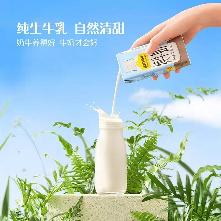 认养一头牛全脂纯牛奶200ml*10盒*1提整箱学生健康营养早餐奶