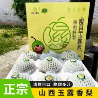 山西玉露香梨新鲜水果礼盒装脆甜多汁果香浓郁