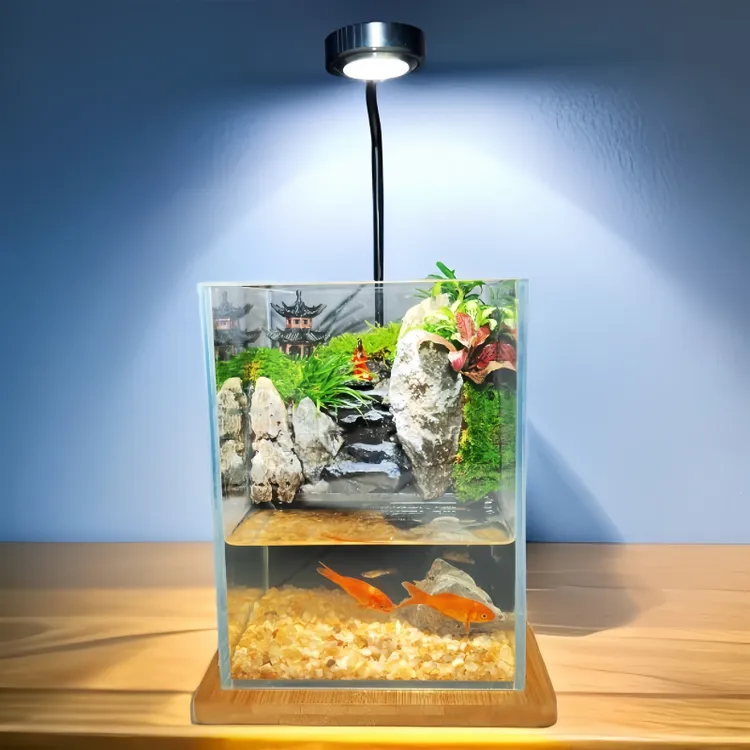 【流水款江南】生态缸微景观桌面造景苔藓玻璃鱼缸养鱼摆件真植物