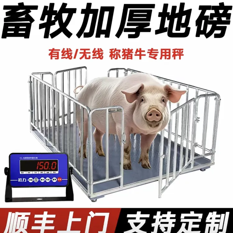 【1.5*2米+围栏---无线款】称猪专用链接直播间专用