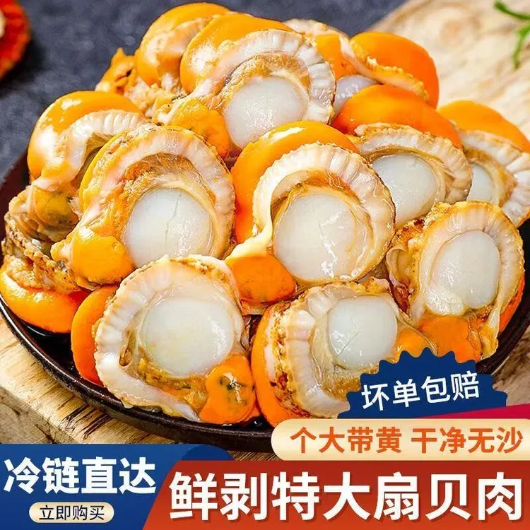 【到手五斤】新鲜冷冻大个扇贝肉无泥无沙带膏黄冷链包邮60-80 T