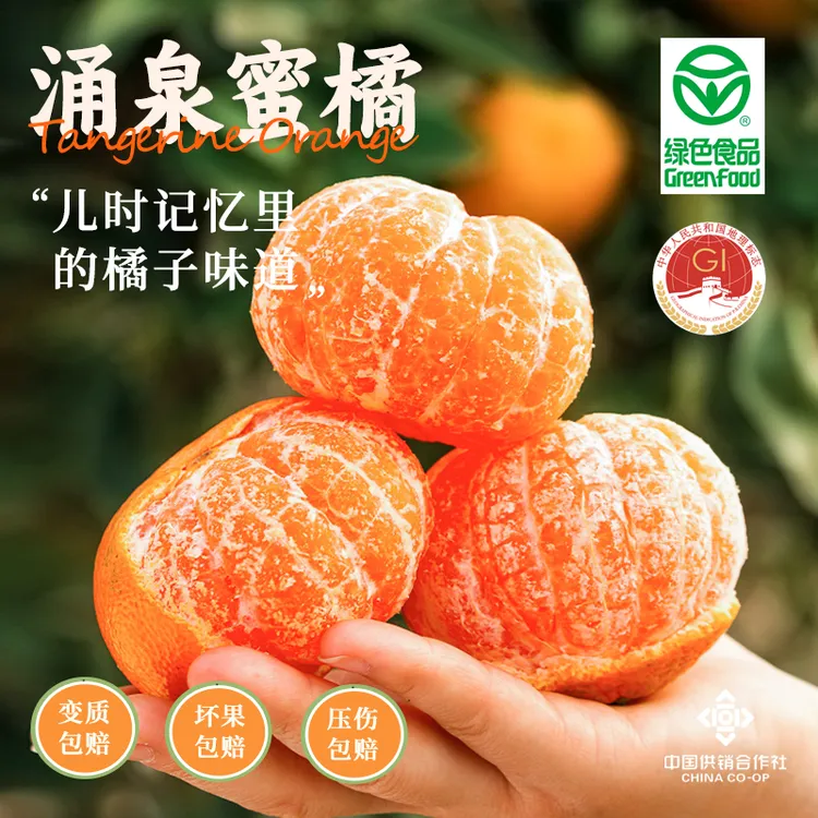 张园长临海涌泉蜜桔  黄皮 宫川大果  新鲜应季水果 绿色食品 地标认证