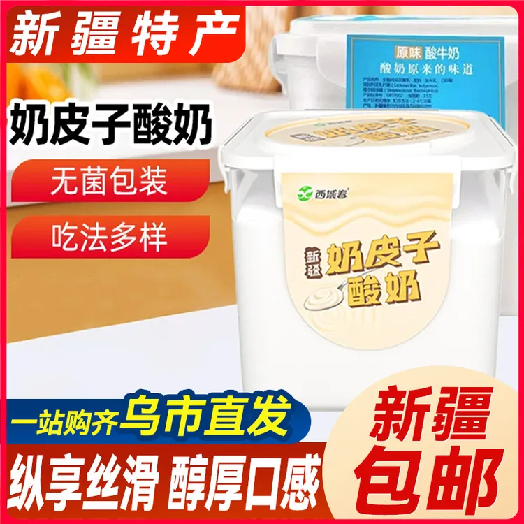 新疆包邮特产西域春奶皮子儿童营养酸奶桶装冰淇淋益生菌风味牛奶