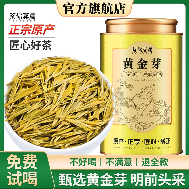 正宗黄金芽茶叶2025新茶明前安吉高山珍稀白茶绿茶高山绿茶罐装