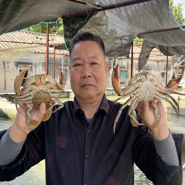 【地都蟹庄】正宗地都蟹 肉蟹 奄仔蟹 公蟹