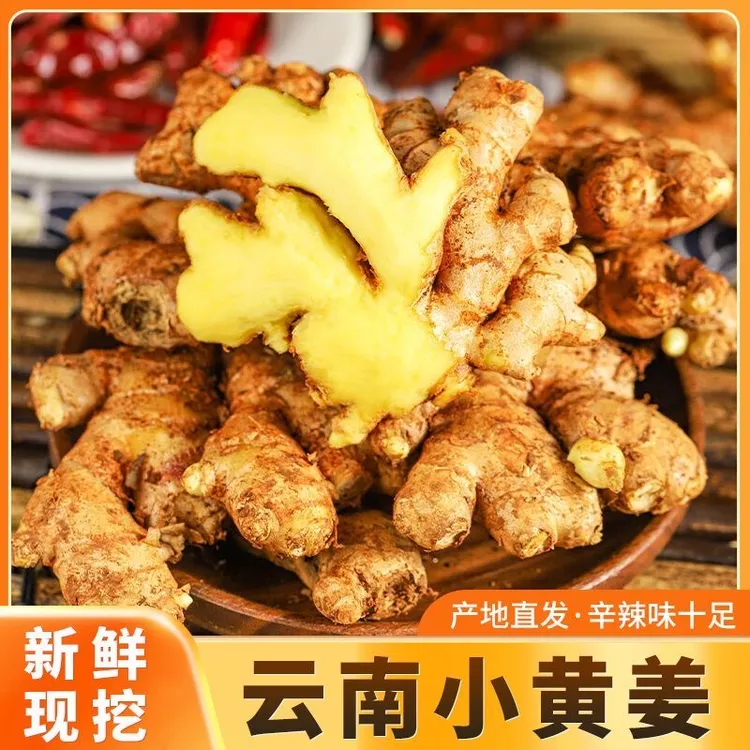 【云味】正宗云南小黄姜新鲜现挖生姜老姜月子姜蔬菜调料商品图