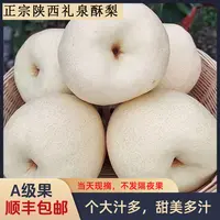 【顺丰包邮】正宗陕西礼泉酥梨当季现摘皮薄肉厚净重5斤