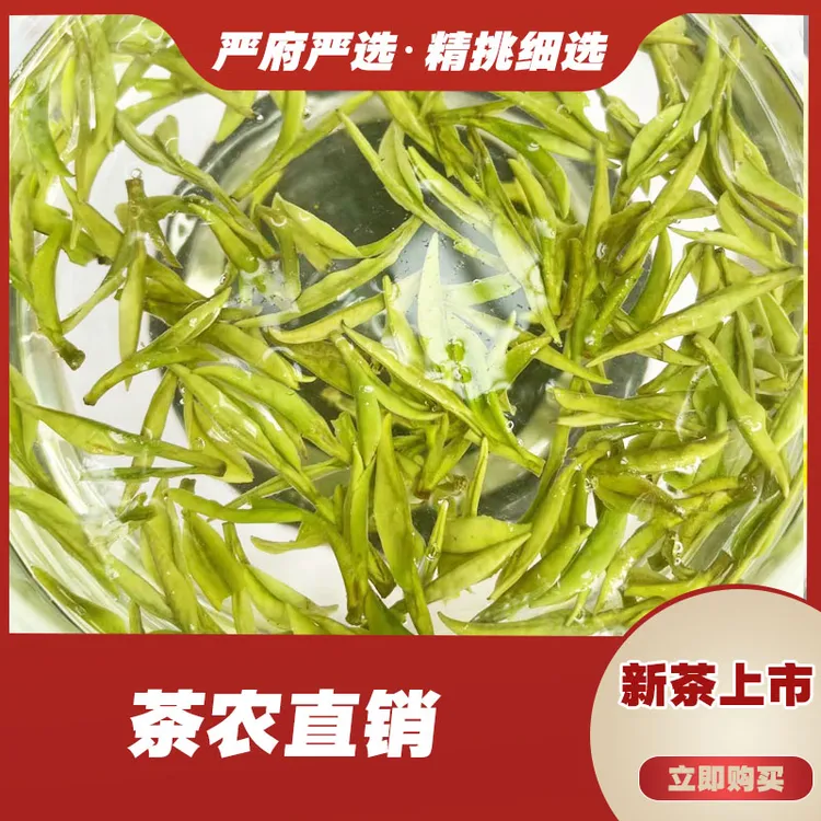 S360 (2025年新茶)白茶 高山茶小芽品质好