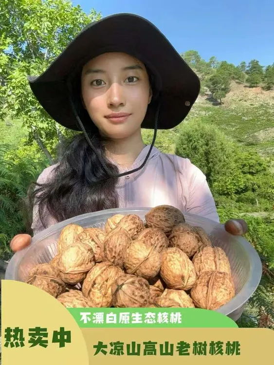 凉山俄亚干核桃农家自产高山老树核桃