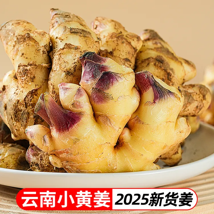 2025年云南小黄姜新鲜姜嫩姜仔姜老姜姜味十足当季蔬菜TY