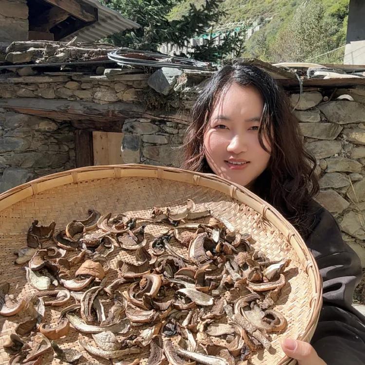 【干牛肝菌】甘孜州康定牛肝菌干片自然晒干