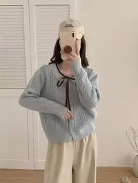 秋冬季潮流百搭针织上衣t102