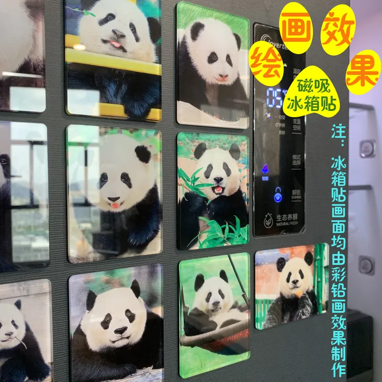 【熊猫绘画主题冰箱贴】6x8cm超厚高透水晶亚克力磁吸文创周边礼物