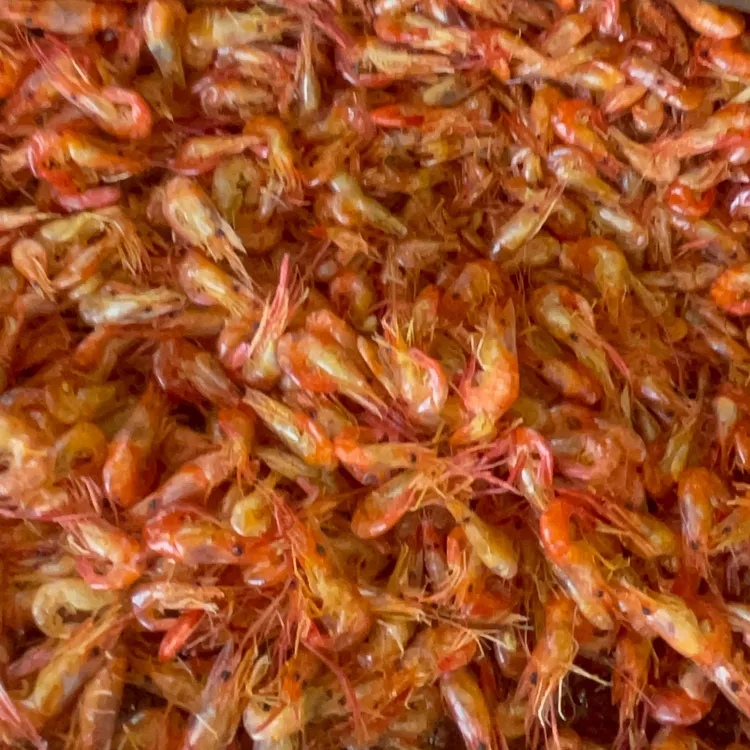 湖南邵阳隆回炭火熏干小虾米本地河虾干