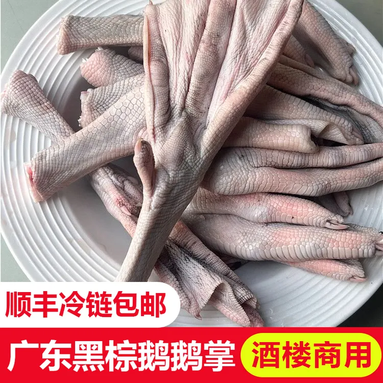 生鲜正宗广东黑棕鹅现杀大鹅掌亦生鹅掌农家散养鹅脚板鹅爪鹅掌翼