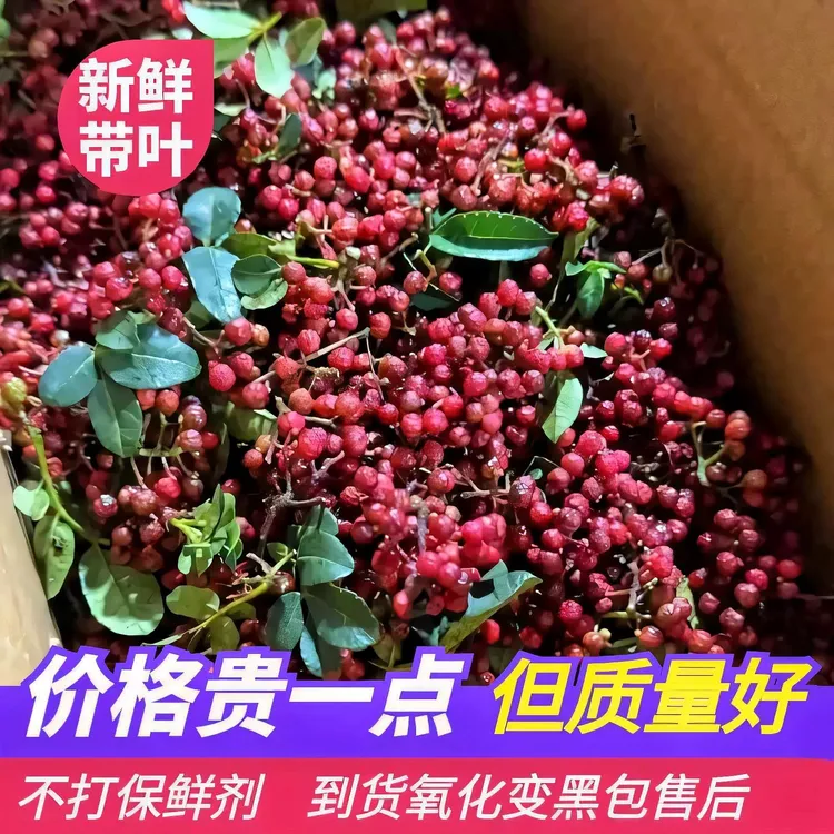 【顺丰包邮-冷链保鲜】大凉山盐源新鲜红花椒特麻特香现摘现发