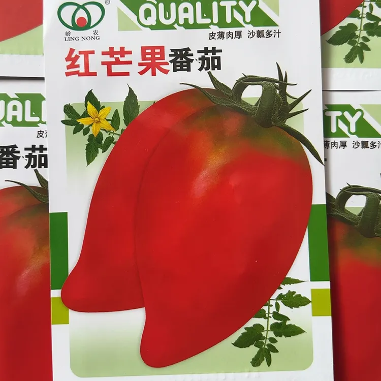 红/黄芒果番茄种子（约80粒左右）