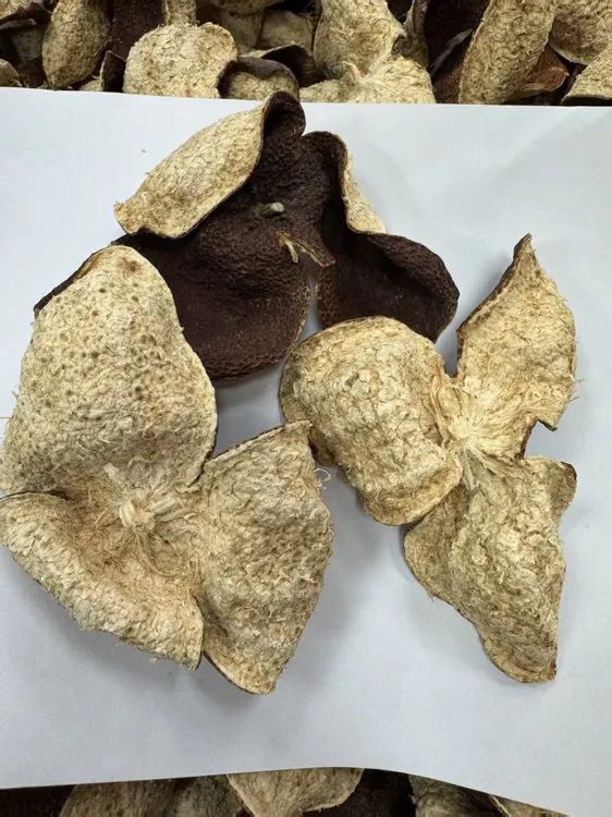 2020年新会东甲圈枝大红皮（甜糯香、皮厚耐泡）