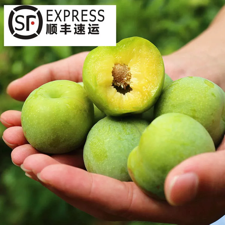 【唯果多】顺丰包邮四川汶川茂县九月晚熟高山青脆脱骨李现摘现发